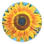 Sunflower Stickers