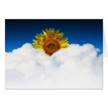 Sunflower Sunrise Greeting Cards