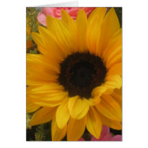 Sunflower Tune Greeting Card