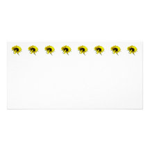 Sunflower With Naturally Curly Hair Photo Cards