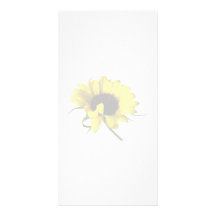 Sunflower With Naturally Curly Hair Custom Photo Card