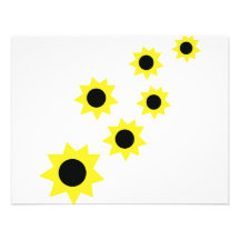 sunflowers icon announcements