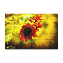 Sunflowers Lament Gallery Wrapped Canvas
