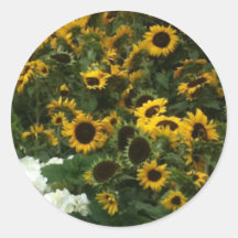 Sunflowers Stickers