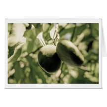sunlight swingers greeting card