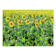Sunnies Greeting Card