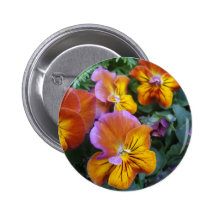 Sunny Day Pansy Pins
