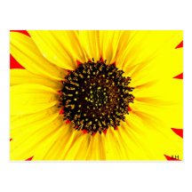 Sunny Day photo by JLH Post Cards