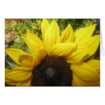 Sunny Day Sunflower Card