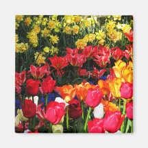 Sunny Garden Refrigerator Magnets
