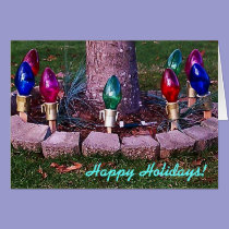 Sunny Holiday Lights cards