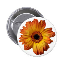 Sunny Orange gerbera flower bloom Pinback Buttons