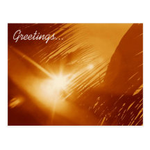 sunny palm, Greetings... Post Card