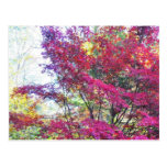 Sunny Pink And Purple Leaves Post Cards