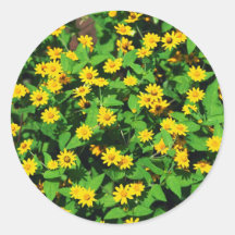 sunny! round stickers
