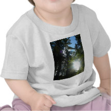 Sunny Woods Tshirts