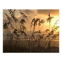 Sunrise Custom Announcements