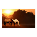 Sunrise horses business card
