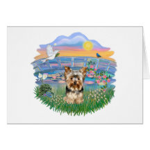 Sunrise Lilies- Yorkshire Terrier (#17) Greeting Cards
