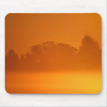 Sunrise mist and forest mousepads