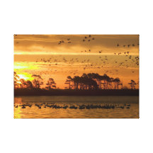 Sunset at Chincoteague Wildlife Refuge Virginia Gallery Wrap Canvas
