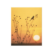 Sunset at Tewaukon National Wildlife Refuge Gallery Wrap Canvas