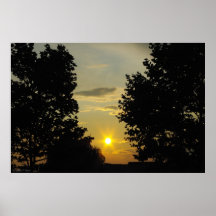 Sunset Between the Trees Posters