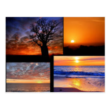 Sunset Collage Postcard