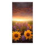 Sunset Daisies Personalized Photo Card