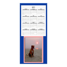 sunset dog, 2011_calendar personalised rack card