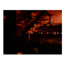 Sunset Forest Postcard