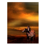 Sunset horses postcard