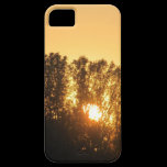 Sunset casemate cases