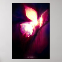 Sunset Nebula Posters