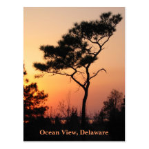 Sunset Ocean View Postcard