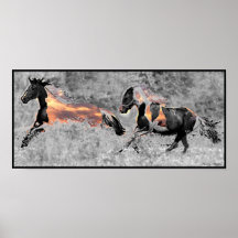 Sunset Pintos Posters