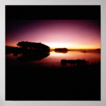 Sunset Poster