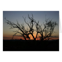 Sunset Silhouette Greeting Cards