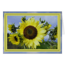 Sunshine And Sunflowers Cards