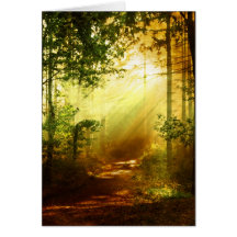 Sunshine bird card