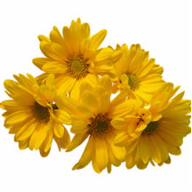 Sunshine Bouquet Cut Out