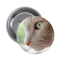 Sunshine Kitty Pinback Button