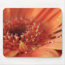 Sunshine Orange Gerbera Mousepad