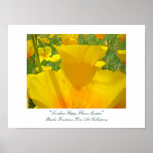 Sunshine Poppy Flower Meadow Fine Art Collections Print