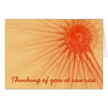 Sunshine & Rays Cards