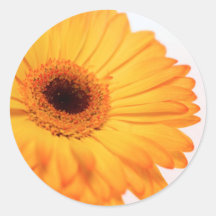 sunshine stickers