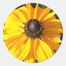 Sunshine Sunflowers Round Stickers