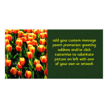 Sunshine Tulips Custom Photo Card
