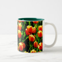 Sunshine Tulips Mugs