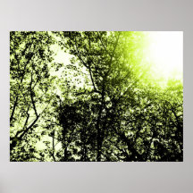 SunTrees Print